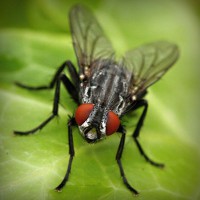 /album/ecemay%c5%9fegul/photolia-a01-jpg/