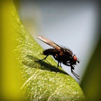 /album/ecemay%c5%9fegul/photolia-a04-jpg/