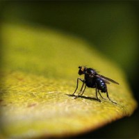 /album/ecemay%c5%9fegul/photolia-a07-jpg/