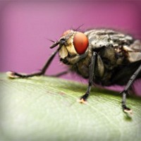 /album/ecemay%c5%9fegul/photolia-a08-jpg/